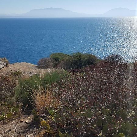 Mediterranean Villa Terrasini Dış mekan fotoğraf