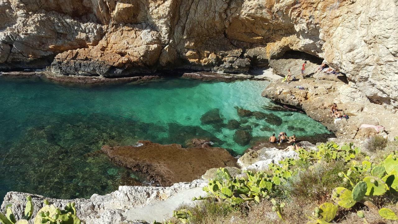 Mediterranean Villa Terrasini Dış mekan fotoğraf